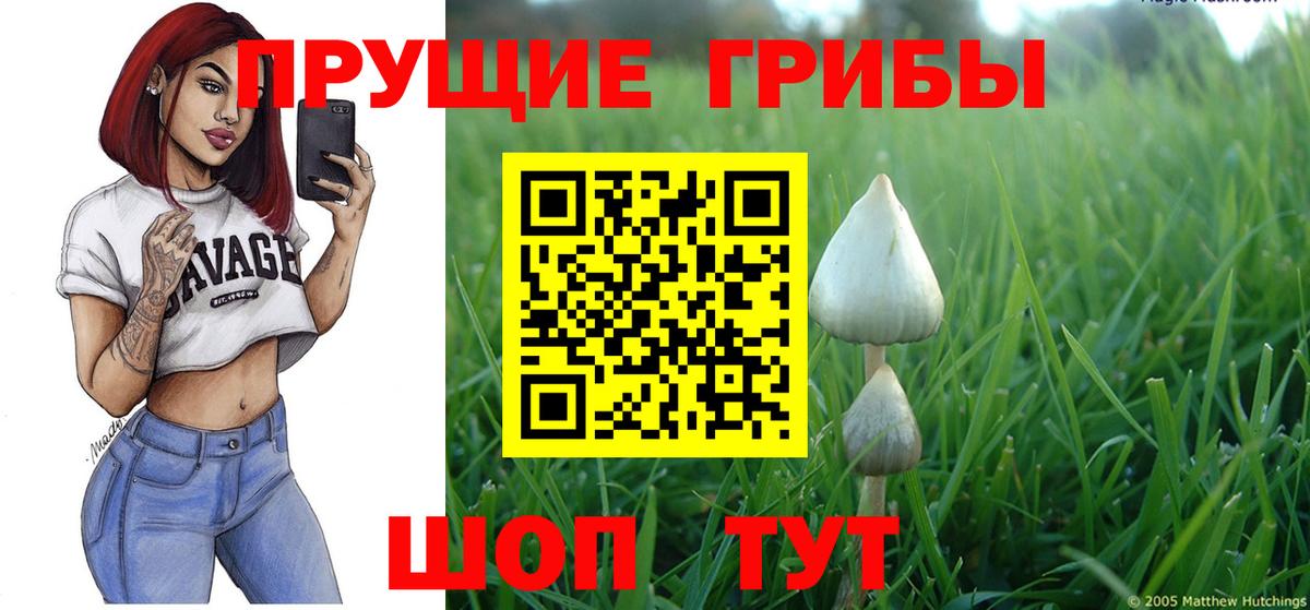 Псилоцибиновые грибы Psilocybe  Вход с VPN  купить   Озёрск 